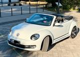 Volkswagen VW Beetle CABRIO - top gepflegt - Volkswagen Beetle: Cabrio