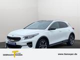 Kia XCeed 1.6 T-GDI OPF DCT7 PLATINUM EDITION - Kia XCeed Gebrauchtwagen