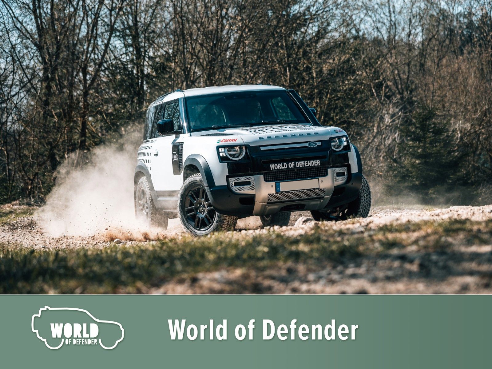 Fahrzeugabbildung Land Rover Defender 90 D250 S *Rally Series 2024*