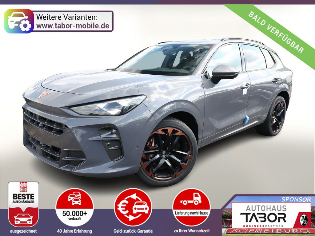 Image of Cupra Terramar
