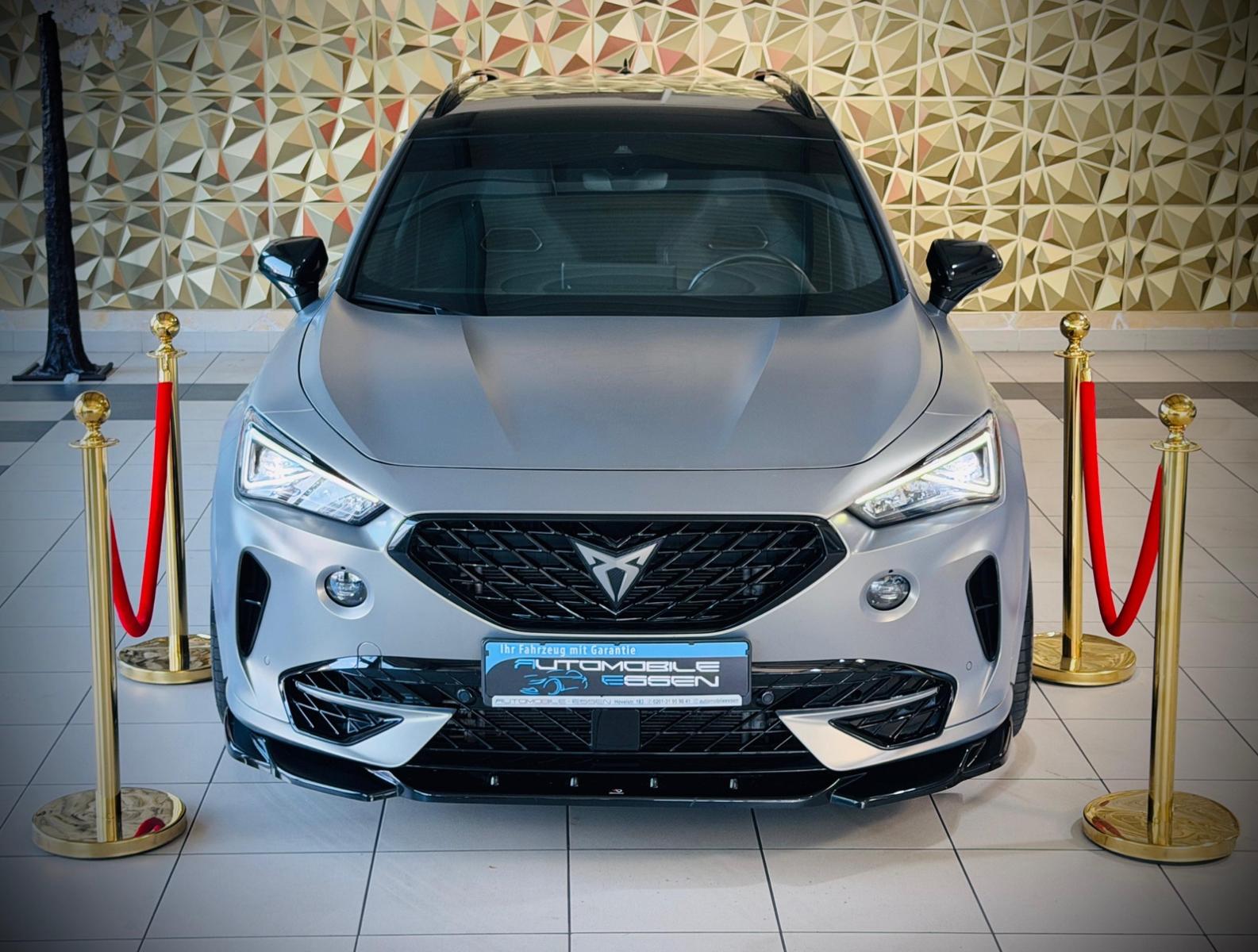Cupra Formentor VZ 4Drive DSG BEATS MEMORY BREMBO, миниатюра 25