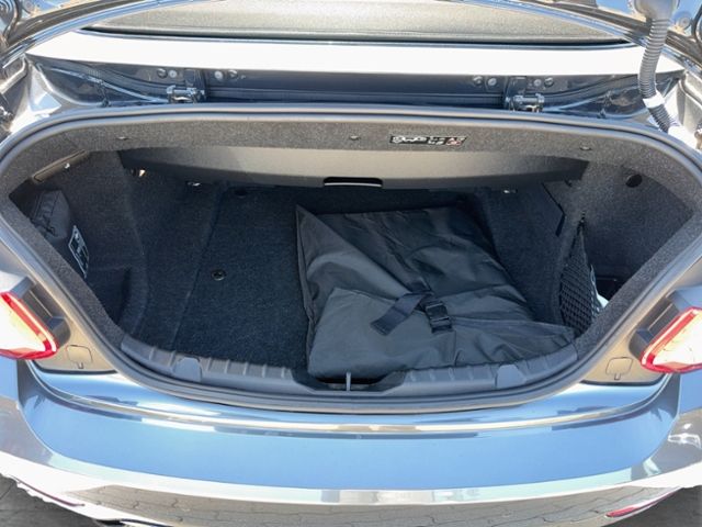 220i CABRIO LINE LEDER XENON REAR VIEW SPORT FW