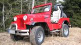 Andere Jeep Mahindra - Andere aus 1992