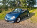 Volkswagen VW Beetle Cabrio Benzin 1,2 TSI BJ 2015 Kä... - Volkswagen Beetle in Bonn
