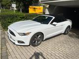 Ford Mustang Cabrio 3.7 v6 - Ford Mustang in München