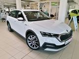 Skoda Octavia COMBI Scout TSI 190PS 4X4 DSG Standhg - Skoda Octavia mit Benzin-Antrieb: Scout