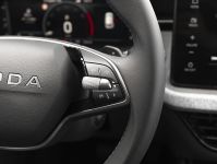 Skoda Kamiq - Vorschau Bild 18