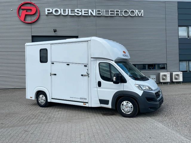 Fiat Ducato BÔCKMANN 2 Horsetruck