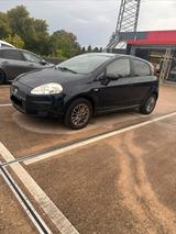 Fiat Punto  2Jahre TÜV - Fiat Punto in Dortmund