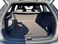 Skoda Kodiaq - Vorschau Bild 7