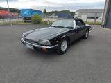 Jaguar XJS 5.3 HE V12 Convertible - HU neu - Jaguar XJS: V12
