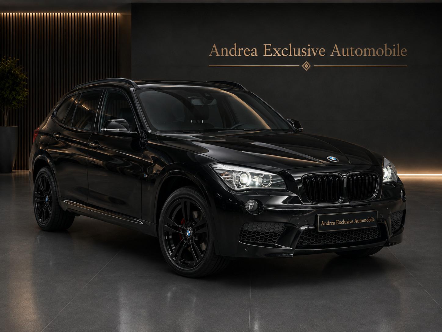 BMW X1 M Paket 20i xDrive Navi/Panor/AHK/Leder/kamer