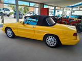 Alfa Romeo Spider 2,0L Pininfarina - gebrauchte Alfa Romeo Spider aus dem Jahr 1989