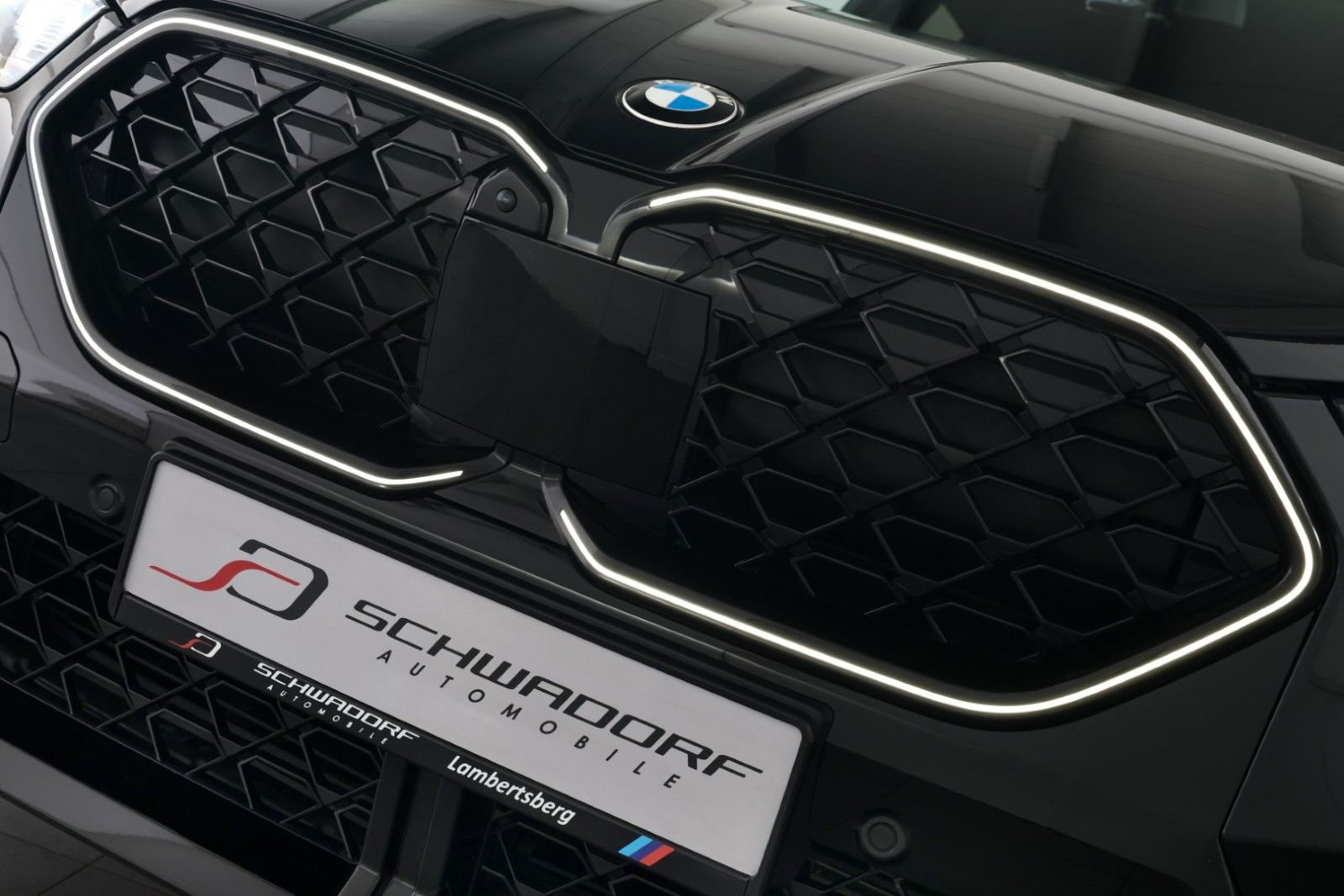 BMW X2 sDrive18d M Sport DriveProf H&K HUD 360° 19" foto 5