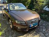 Audi A 5 Cabriolet - Audi Cabriolet: Allradantrieb