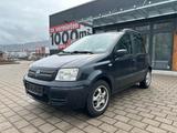 Fiat New Panda 1.2 8V Dynamic - Fiat New Panda: Limousine