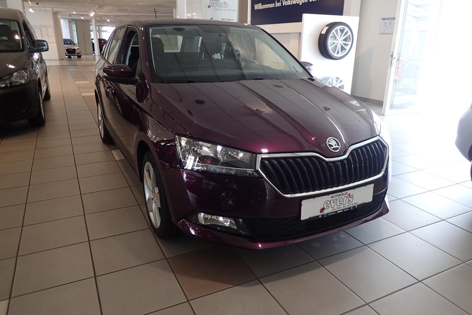 Skoda Fabia Combi Cool Plus 1,0 TSI Klima Sitzheizung
