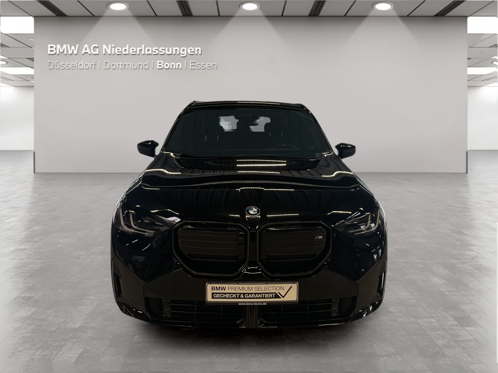 BMW X3 M50 - Bild 8