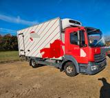 Mercedes-Benz Atego 816 Tiefkühler Thermoking T 1200 R - Mercedes-Benz Atego