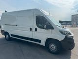 Peugeot Boxer Kastenwagen AvantagePlus Edition 335 L3H2  - Peugeot Boxer: Kastenwagen