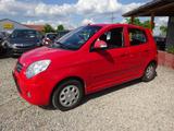 Kia Picanto 1.1 Cool*Klima - Kia Picanto Gebrauchtwagen in Dresden