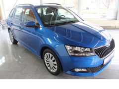 Fahrzeugabbildung Skoda Fabia Ambition 1.0TSI Apple CarPlay,Sitzheizung,