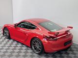 Porsche Cayman GT4|2.Hand|Approved|Clubsport-Paket|Schal - Porsche Cayman in Wuppertal