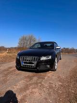 Audi S5 Cabrio TFSI S Tronic Quattro VOLLA... - Audi S5 aus 2010
