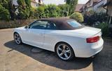 Audi A5 3.0 TDI (DPF) S tronic quattro Cabriolet - - Audi A5 aus 2009: Cabrio
