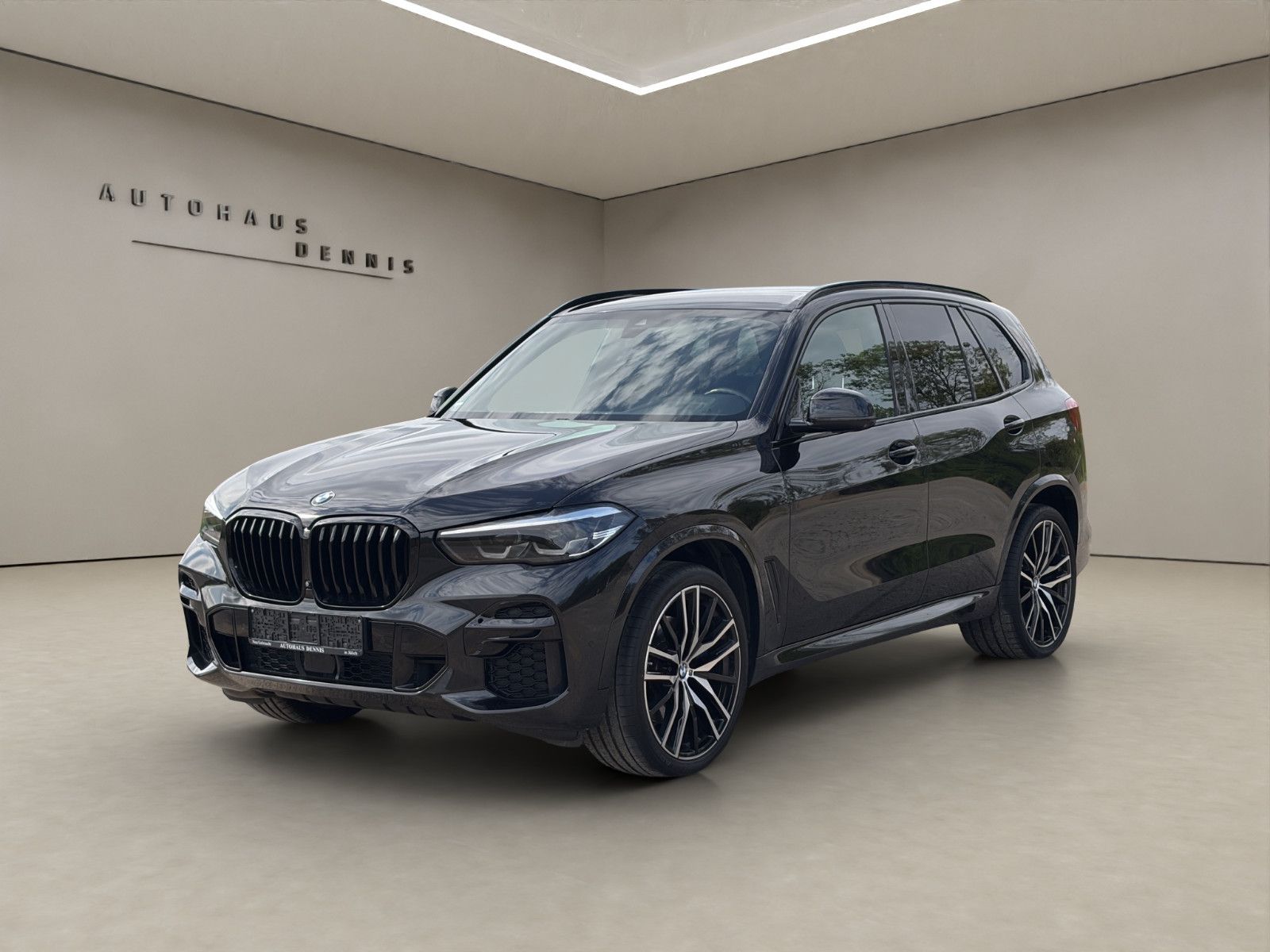 BMW BMW X5 xDrive30d Sport-Aut. M-Sportpaket
