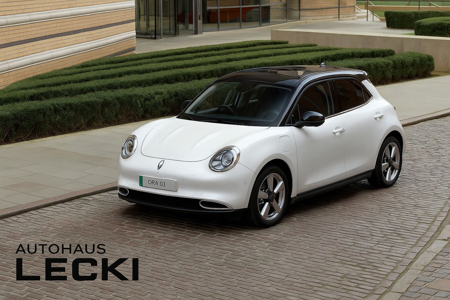 GWM Ora 03 - Bild 14