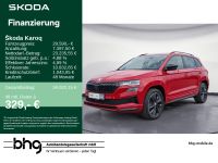 Skoda Karoq - Vorschau Bild 1