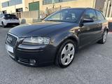 Audi A3 A3 1.9 tdi Ambition 105cv - Audi A3 aus 2006: 1.9