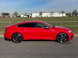 Audi S5 TDI tiptronic quattro Sportback - - Audi S5 in Hannover