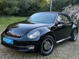 Volkswagen Beetle Cabriolet Design *Käfer *Navi *1Hand *PDC - Volkswagen: Kaefer