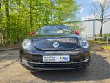 Volkswagen Beetle Cabrio Club*Navi*LED*PDC*SHZ*Tempo*Isofix - Volkswagen Beetle: Cabrio