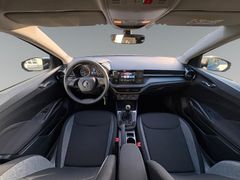 Fahrzeugabbildung Skoda Fabia Active - Klima*Sitzhzg*PDC*Alufelgen*App