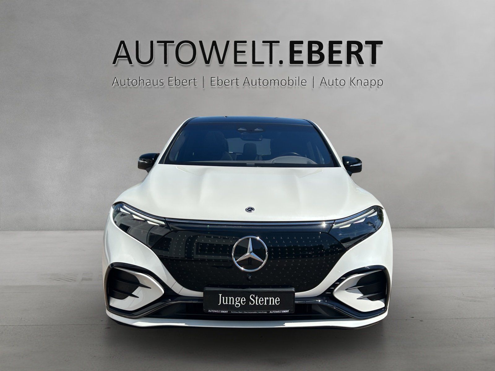 Fahrzeugabbildung Mercedes-Benz EQS 500 SUV AMG Distro PANO Burme Airmatic 360°
