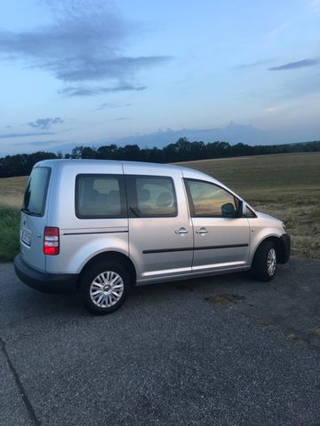 Volkswagen Caddy 1,6TDI 75kW 5-Sitzer Trennlinie