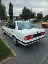 BMW 316i  5-GANG S-Dach Klima Servo Oldtimer el.Spie - BMW 3 Series aus 1989