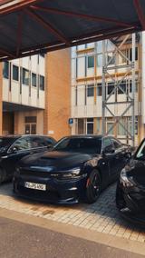 Dodge Charger Scatpack 6.4L  V8 bj 2017 - gebrauchte Dodge Charger aus dem Jahr 2017