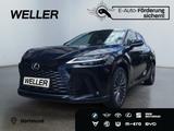 Lexus RX 450h Luxury Line *LED*CAM*Head-Up*Leder*
