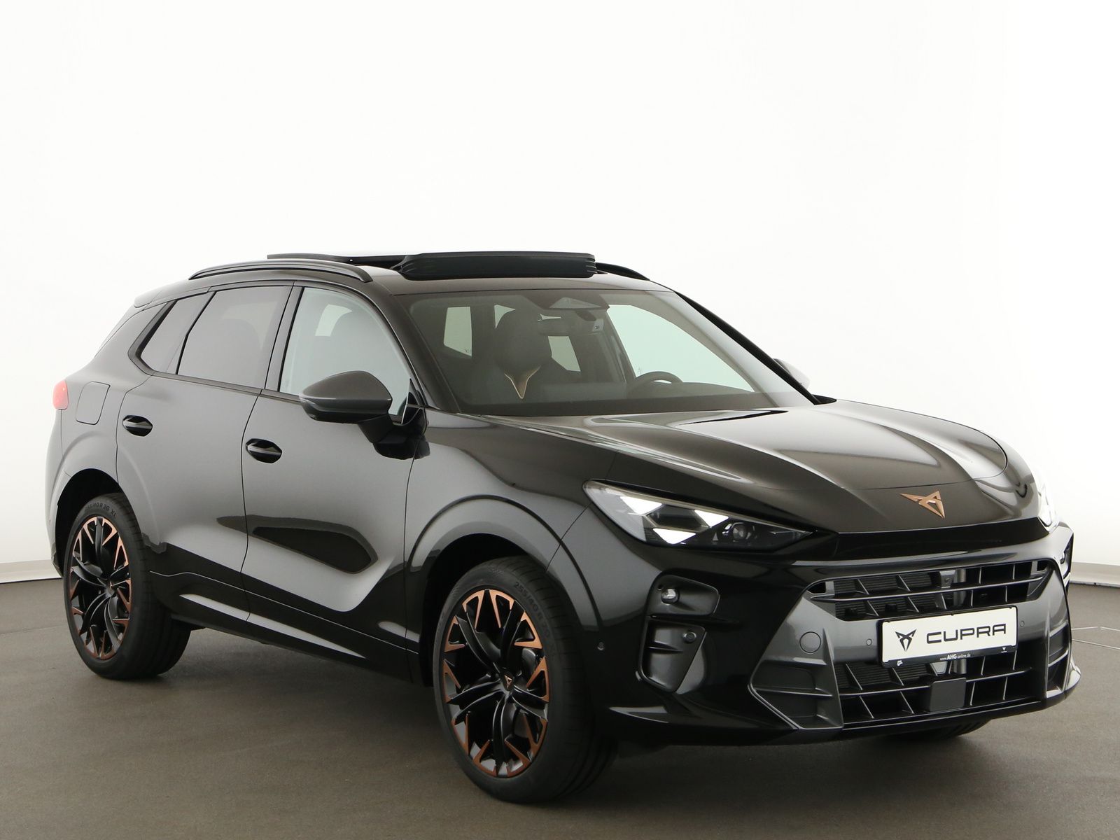 Cupra Terramar - Bild 9