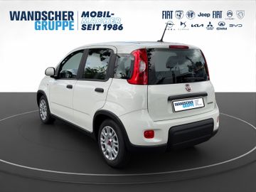 Fiat Panda Base Mild Hybrid 1,0 Klima+ZV+Radio