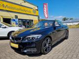 BMW 218 i M Sport Leder Alu 18" Navi Kamera - BMW 2er Reihe: Cabrio