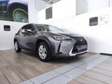Lexus LEXUS UX - UX Hybrid Business - graue Lexus UX