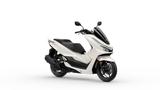 Honda PCX125 Snowflake White *sofort verfügbar* - HONDA VON 81 BIS 125 CCM