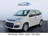 Fiat Panda Klima nur 64 Tkm - Fiat Panda in Herne
