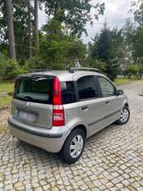 Fiat Auto Fiat Panda - gebrauchte Fiat Panda aus dem Jahr 2003