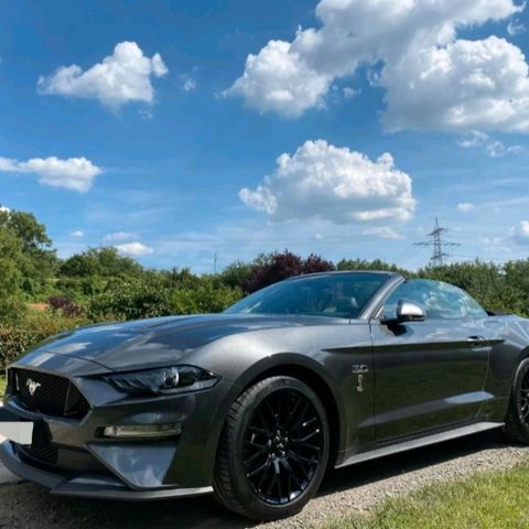 Ford Mustang Cabrio 5.0 Fifty Five Years